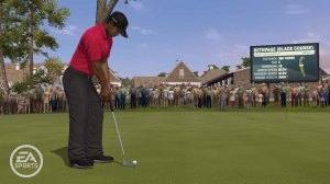 Tiger!